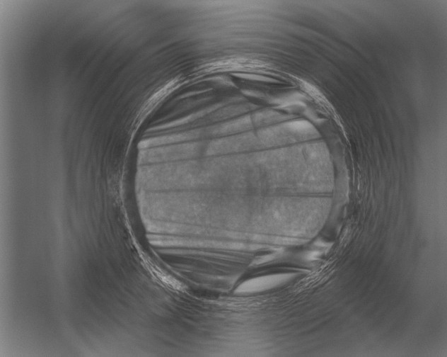 X0000052930946200507292348