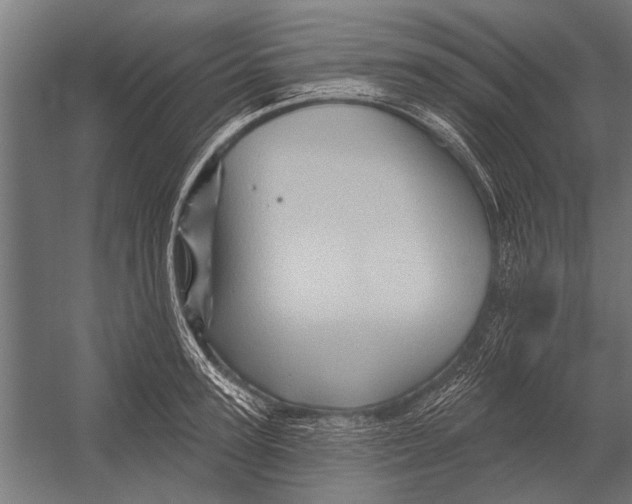 X0000052930947200507292348