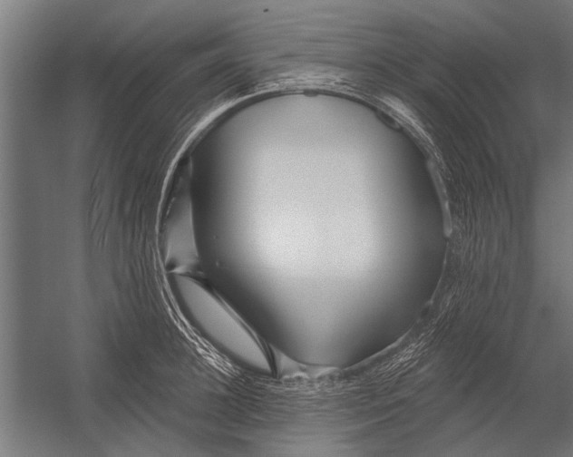 X0000052930948200507292348