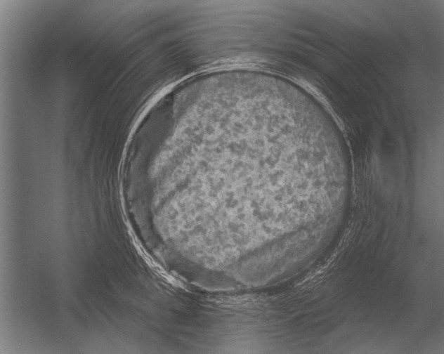 X0000052930949200507292348