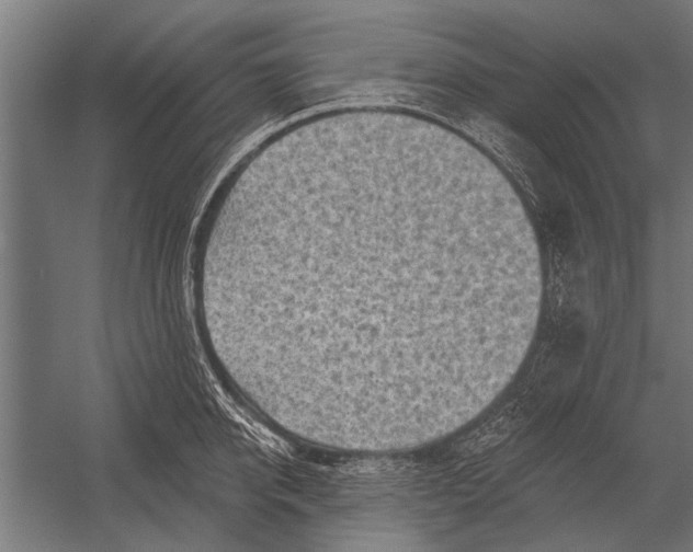 X0000052930950200507292348