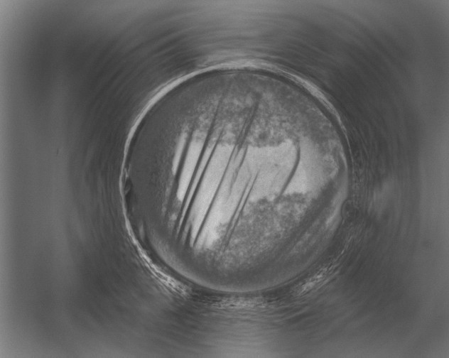 X0000052930951200507292349