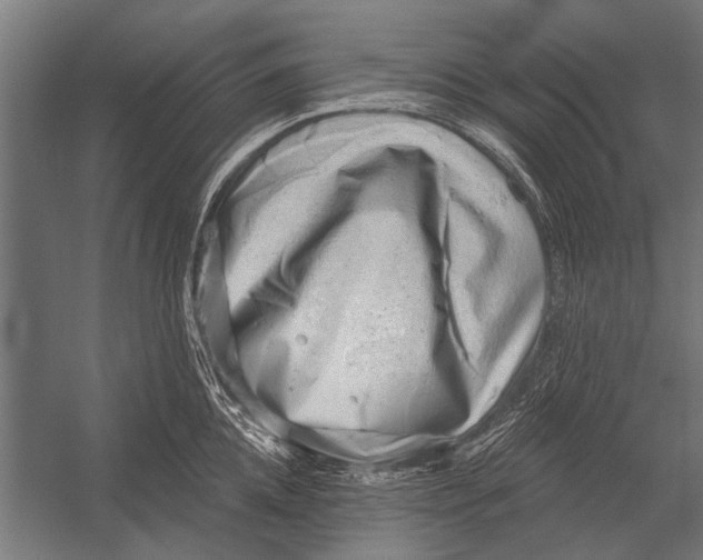 X0000052930952200507292349