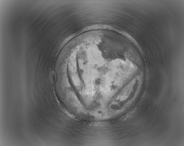 X0000052930953200507292349