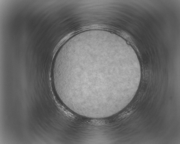 X0000052930954200507292349