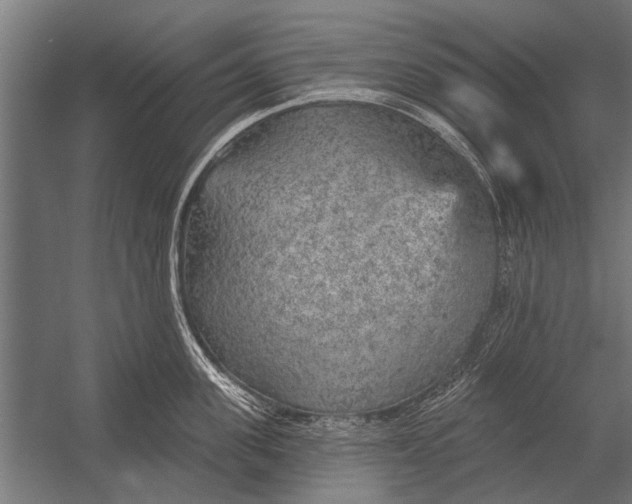 X0000052930955200507292349