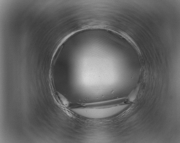 X0000052930956200507292349