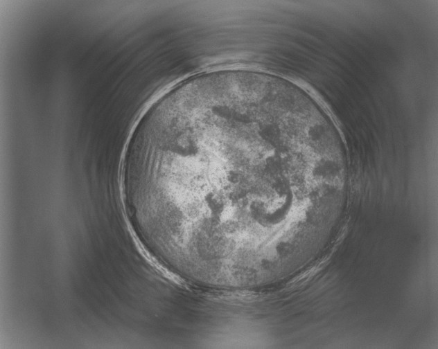 X0000052930957200507292349