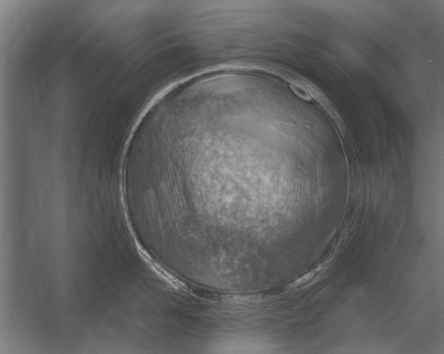 X0000052930958200507292349