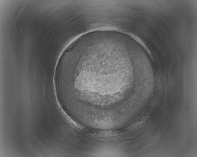 X0000052930959200507292349