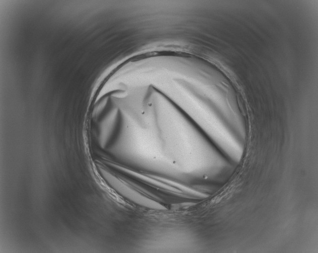 X0000052930960200507292349