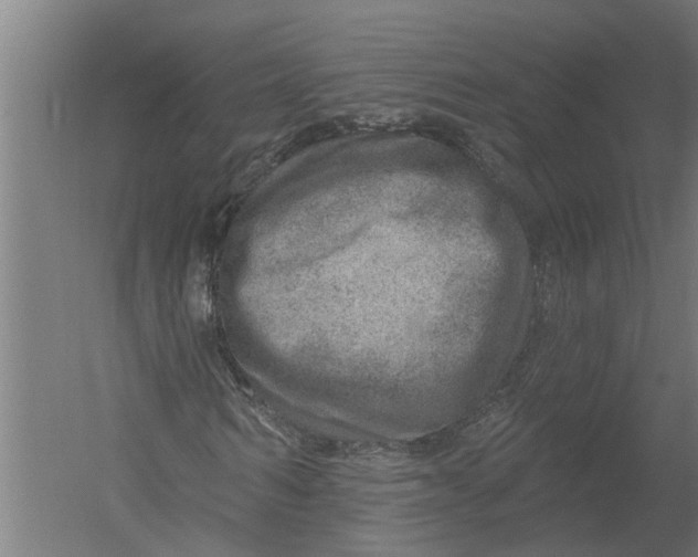 X0000052930962200507292348