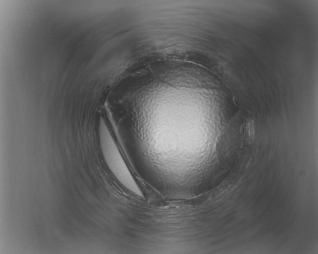 X0000052930963200507292348