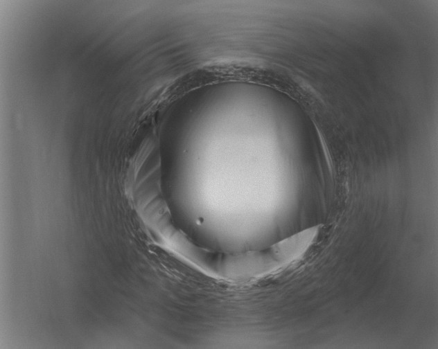 X0000052930965200507292348