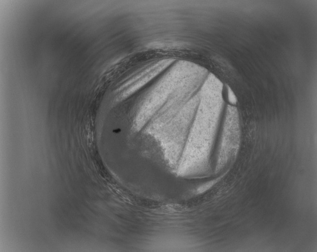 X0000052930966200507292348