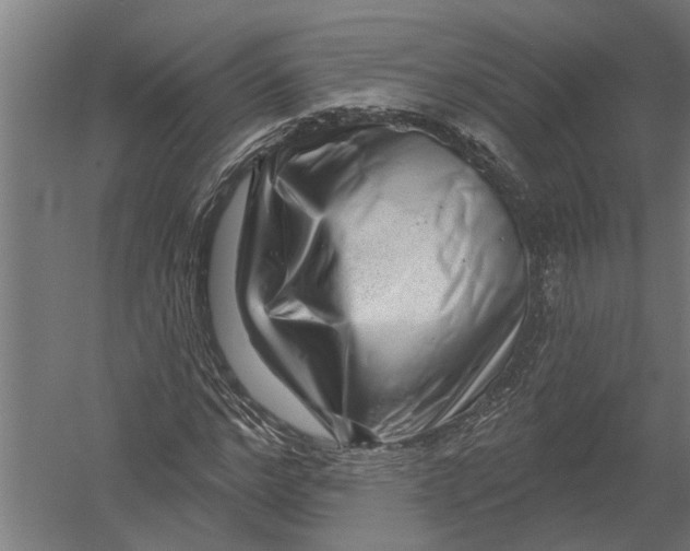 X0000052930968200507292348