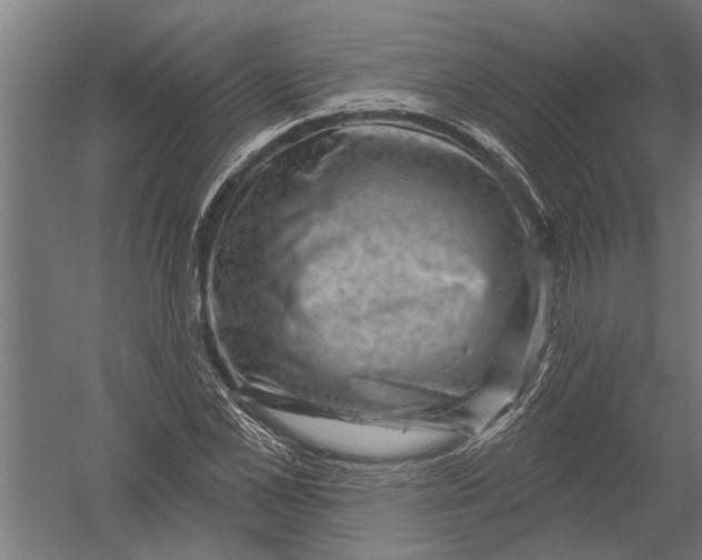 X0000052930973200507292348