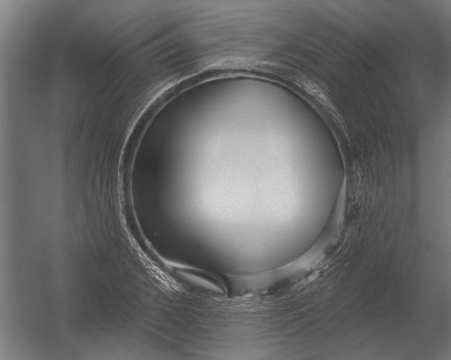 X0000052930976200507292348