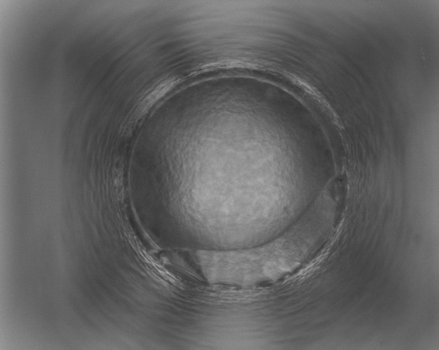 X0000052930977200507292348