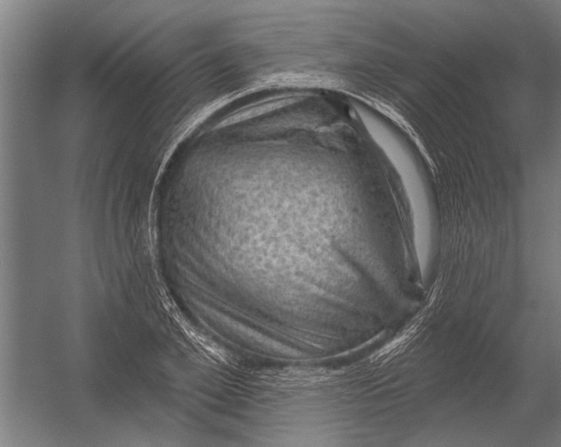 X0000052930981200507292348