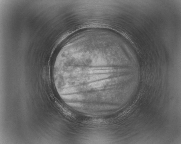 X0000052930982200507292347