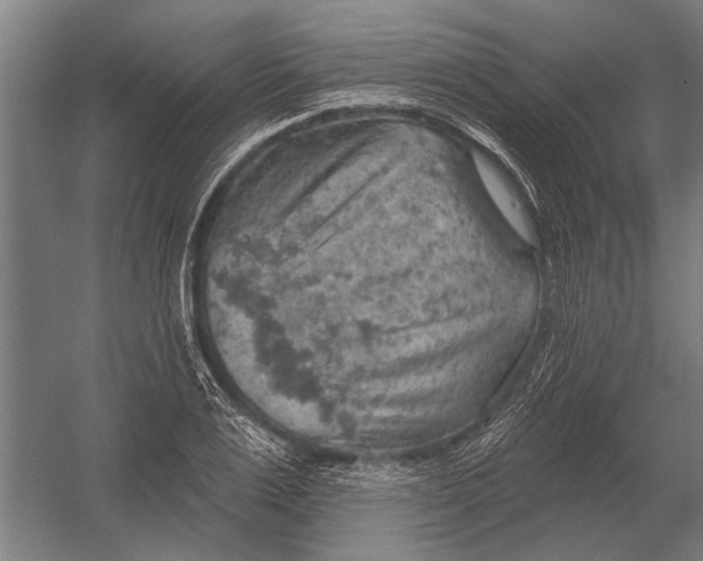 X0000052930983200507292347