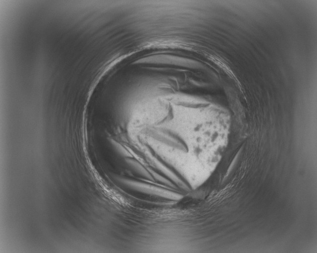 X0000052930984200507292347