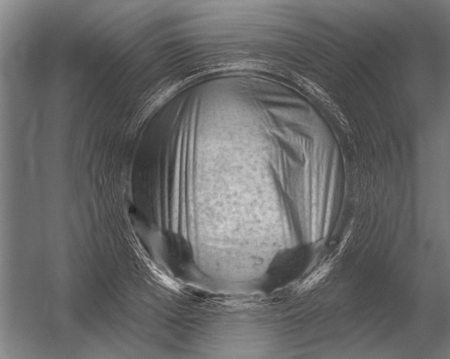 X0000052930985200507292347