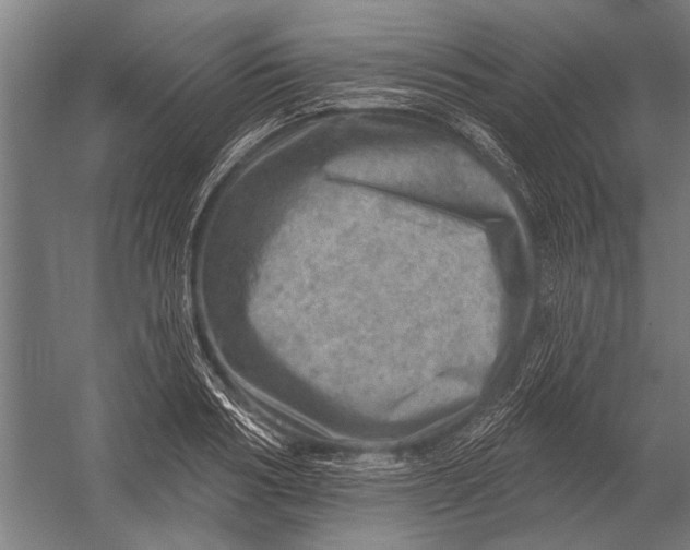 X0000052930986200507292347