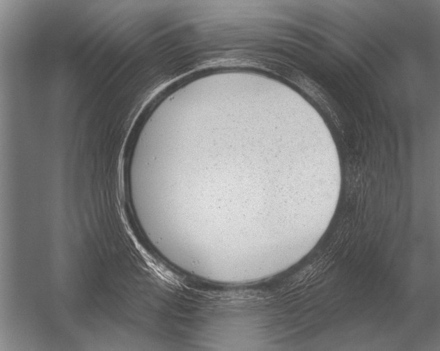 X0000052930988200507292347