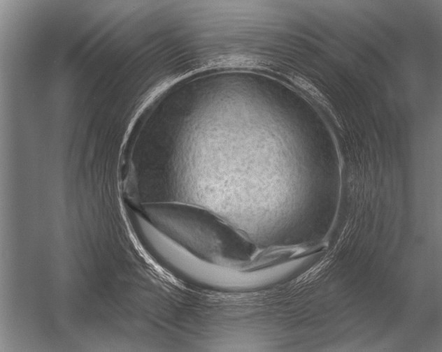 X0000052930989200507292347