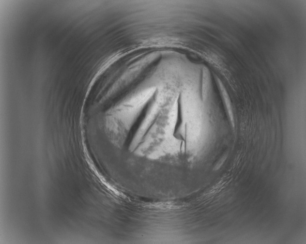 X0000052930990200507292347