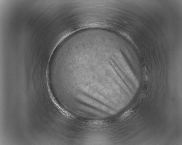 X0000052930991200507292347