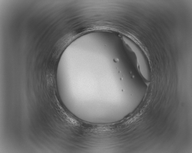 X0000052930993200507292347