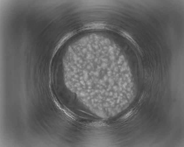 X0000052930994200507292347