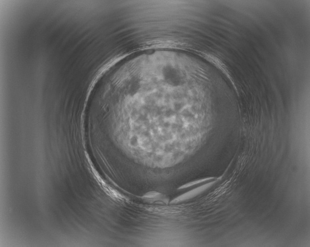 X0000052930995200507292347