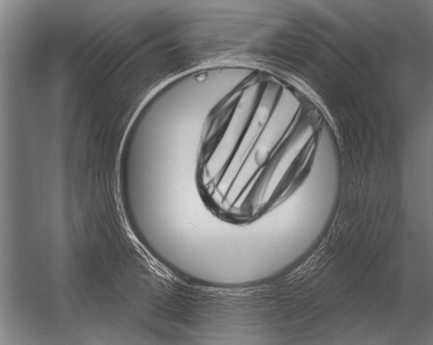 X0000052930996200507292347