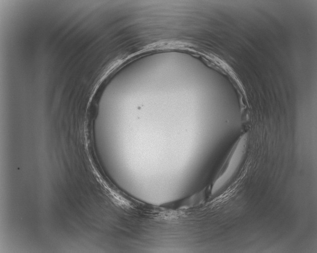 X0000052930997200507292347