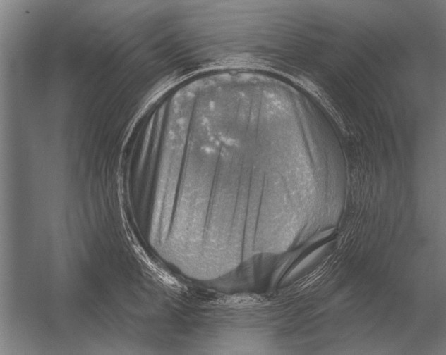 X0000052930998200507292347