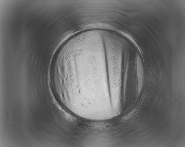 X0000052930999200507292347