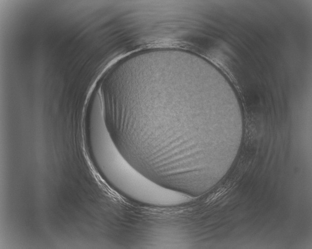 X0000052931000200507292347