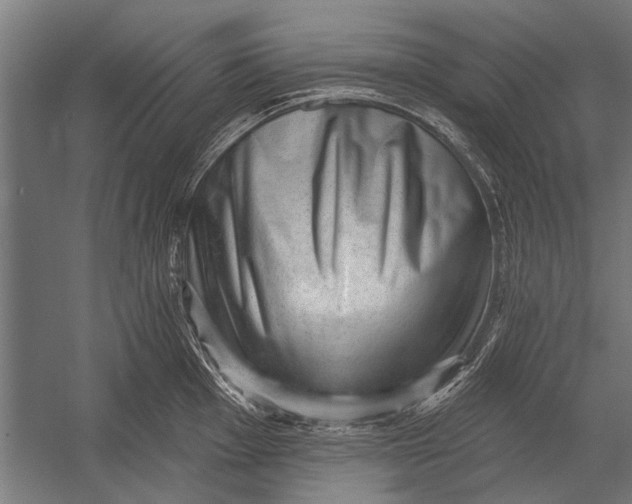 X0000052931001200507292347