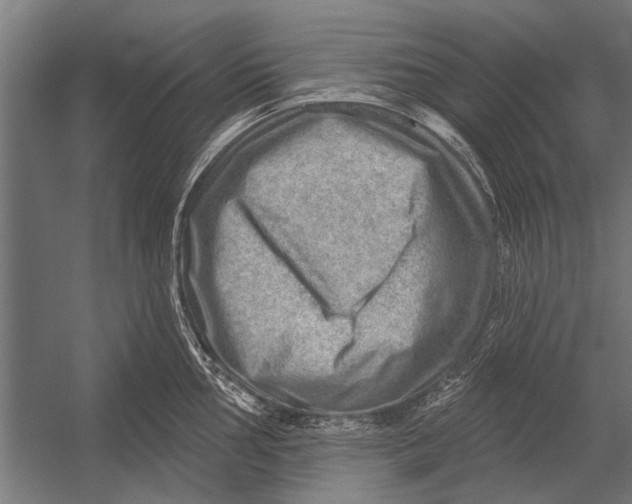 X0000052931002200507292347