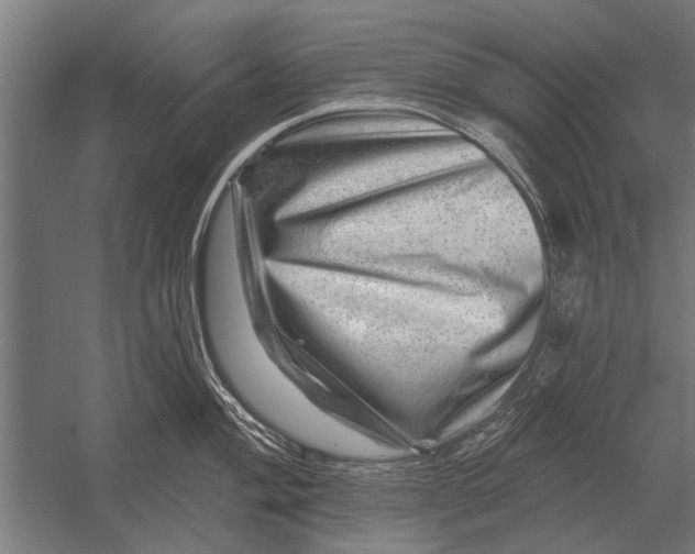 X0000052931004200507292347