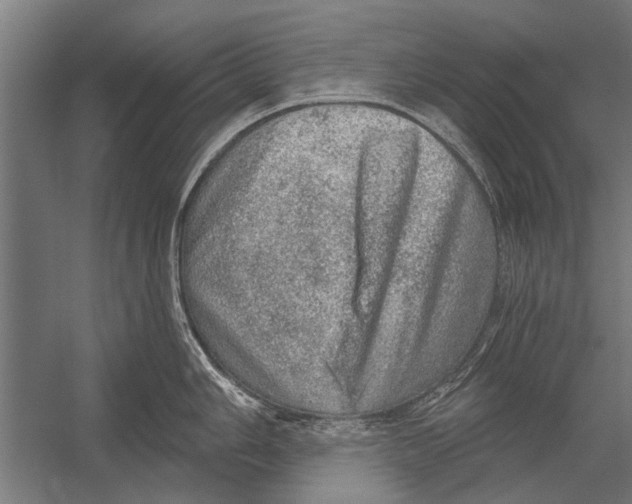 X0000052931006200507292347