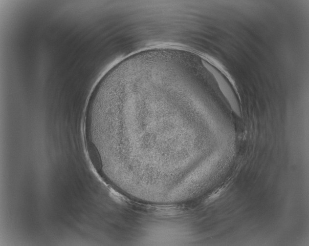 X0000052931007200507292347