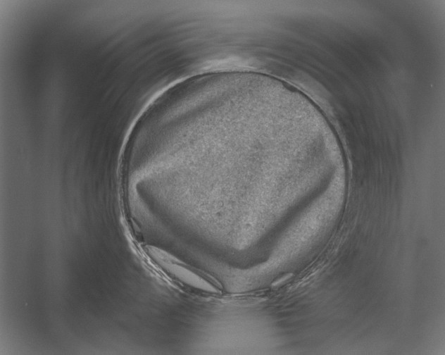 X0000052931008200507292347