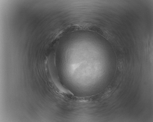 X0000052931010200507292346