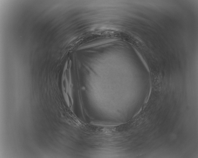 X0000052931013200507292346