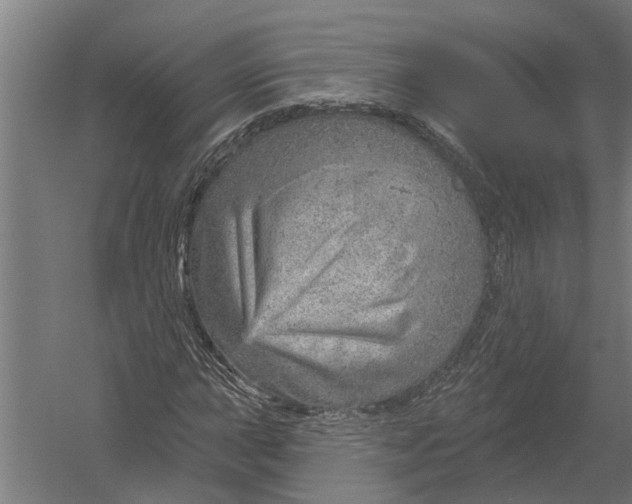 X0000052931015200507292346